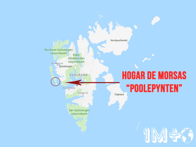 Captura de pantalla 2018-08-02 a las 19.56.19