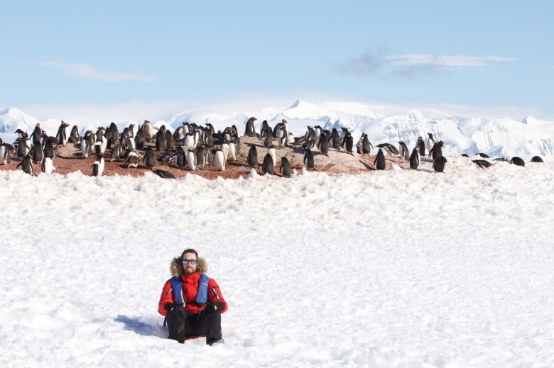 Pingüinos de Papua.