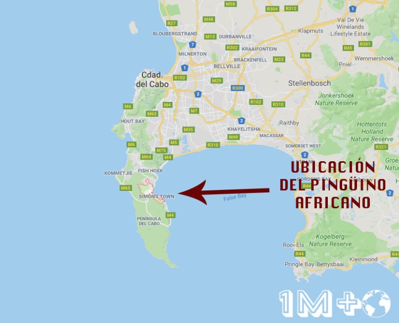 Captura de pantalla 2019-01-24 a las 19.53.51.jpg