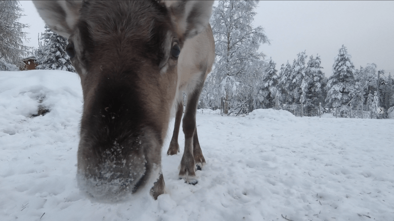 Captura de pantalla 2019-03-12 a las 19.11.02