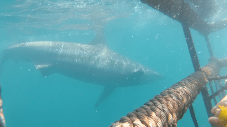 Captura de pantalla 2019-06-30 a las 16.40.18.png