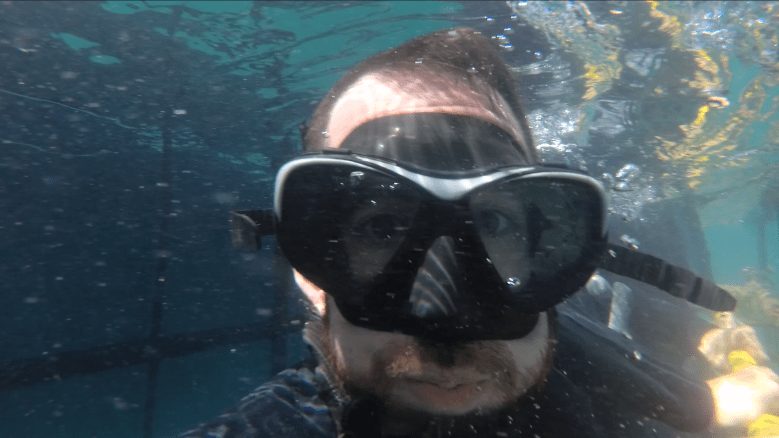 Captura de pantalla 2019-06-30 a las 16.40.48.png