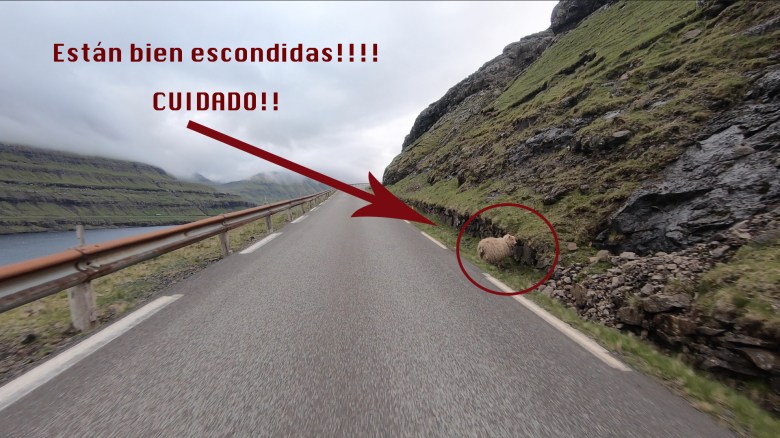 Captura de pantalla 2019-07-13 a las 20.12.08.jpg