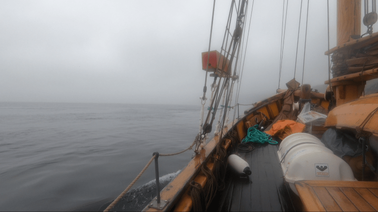 Captura de pantalla 2019-07-23 a las 11.30.26.png