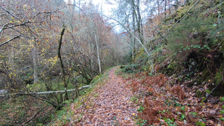 Captura de pantalla 2019-12-06 a las 23.26.35