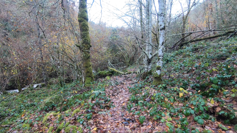 Captura de pantalla 2019-12-06 a las 23.27.29