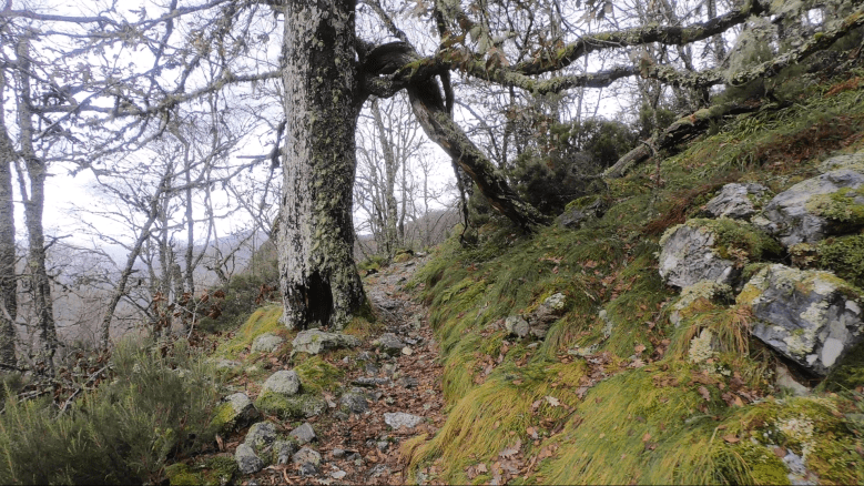 Captura de pantalla 2019-12-07 a las 0.10.41