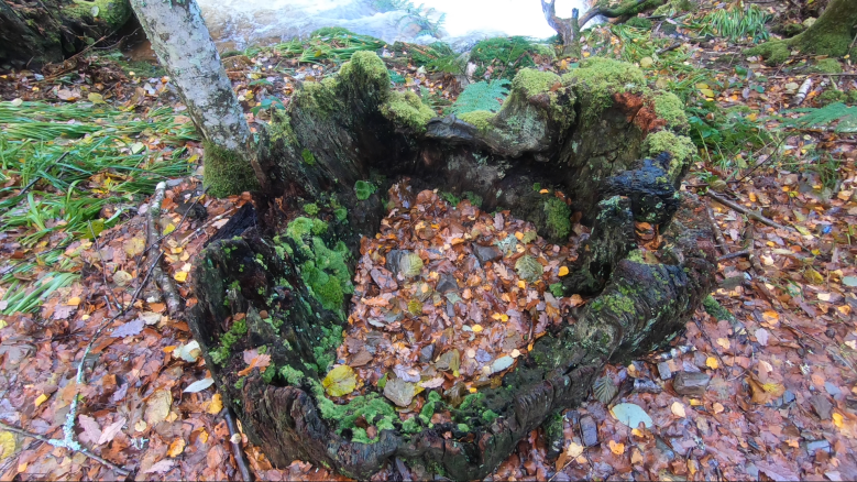 Captura de pantalla 2019-12-07 a las 0.11.22