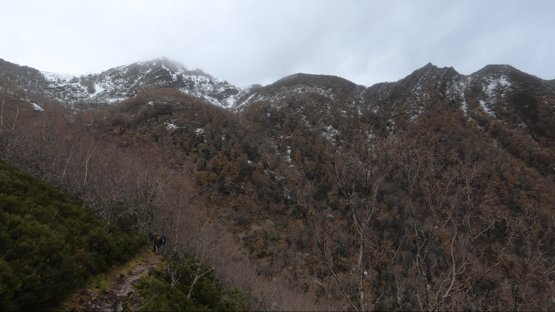 Captura de pantalla 2019-12-07 a las 0.16.19.png