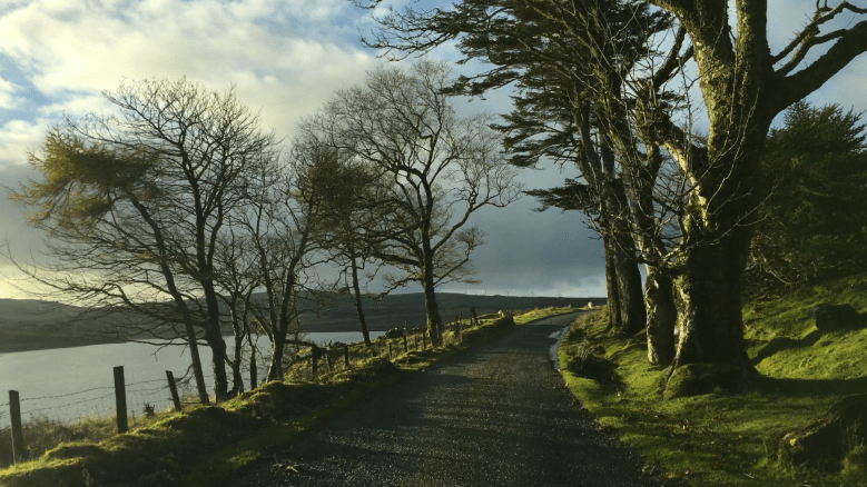 Captura de pantalla 2020-02-29 a las 12.23.22