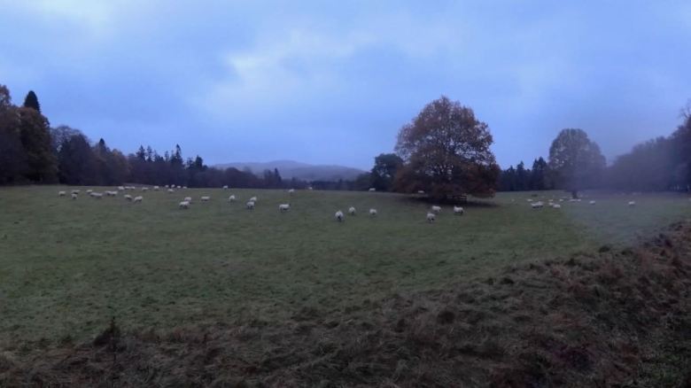 Captura de pantalla 2020-03-05 a las 20.18.47